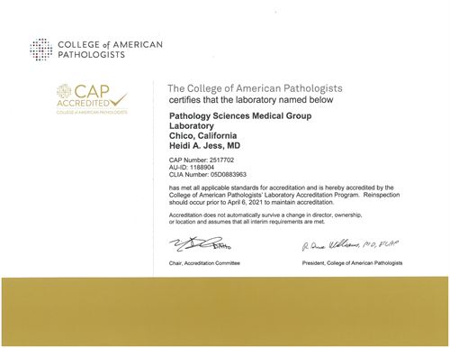 college of american pathologists jobs